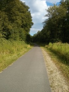 cycle path east of beaumont