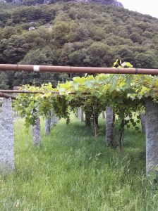 Granite trellis posts