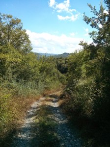 off-piste heading for Orvieto